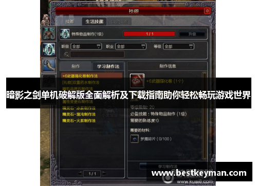 暗影之剑单机破解版全面解析及下载指南助你轻松畅玩游戏世界